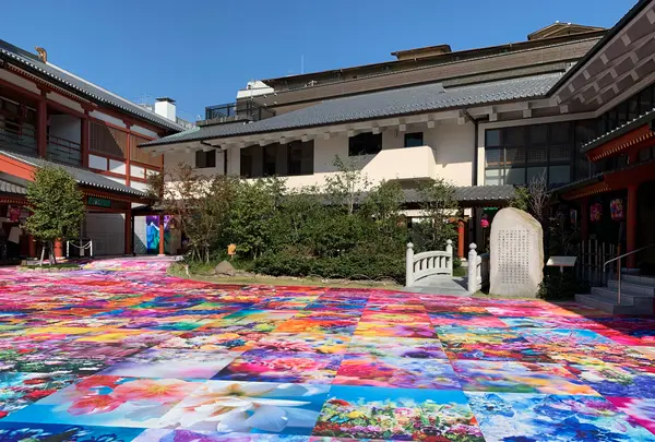 道後ハイカラ通りの写真・動画_image_476283