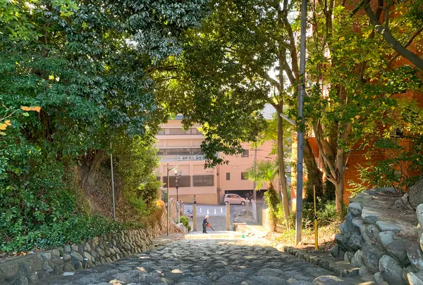 湯神社（四社明神）の写真・動画_image_476288