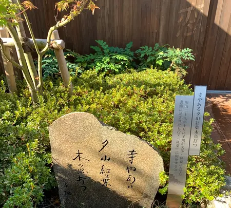 道後温泉 空の散歩道の写真・動画_image_476304