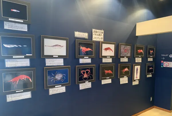 室戸海洋深層水アクアファームの写真・動画_image_476398