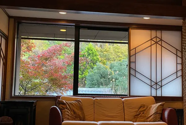 こころをなでる静寂 みやこの写真・動画_image_476479