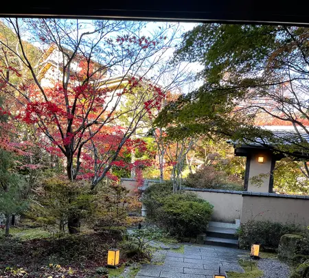 こころをなでる静寂 みやこの写真・動画_image_476487