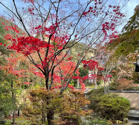 こころをなでる静寂 みやこの写真・動画_image_476488