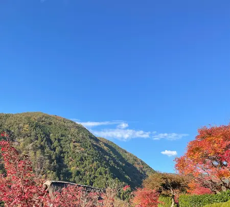 下呂温泉合掌村の写真・動画_image_476490