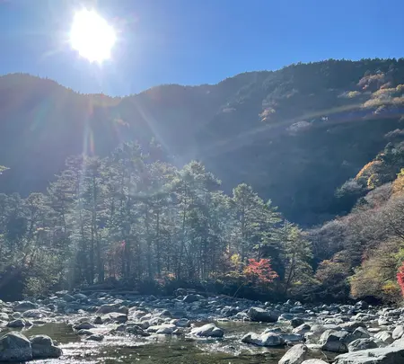 いわなの里峡の写真・動画_image_476496