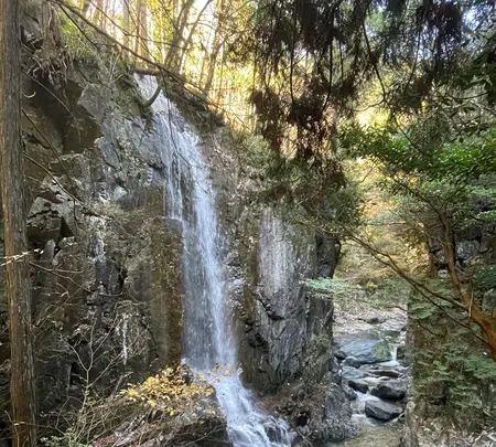 付知峡の写真・動画_image_476502