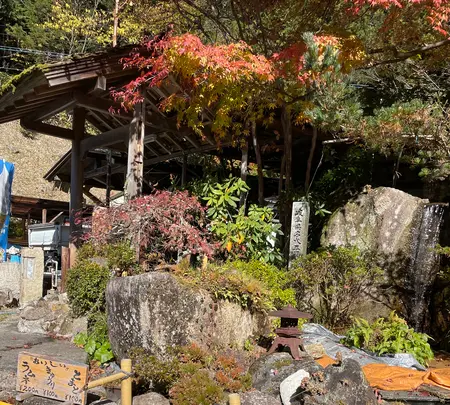 付知峡の写真・動画_image_476504