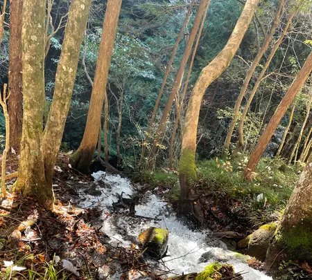 付知峡の写真・動画_image_476505