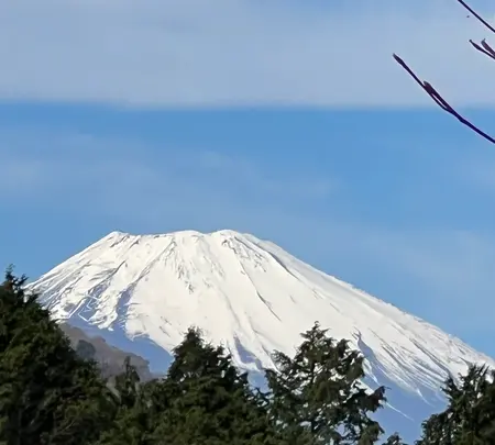 道の駅箱根峠の写真・動画_image_476587