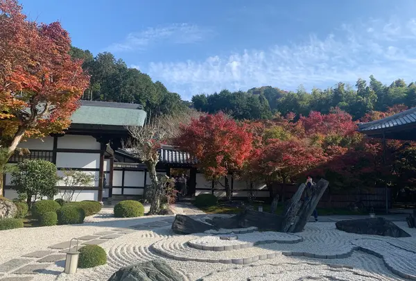 圓光寺の写真・動画_image_477070