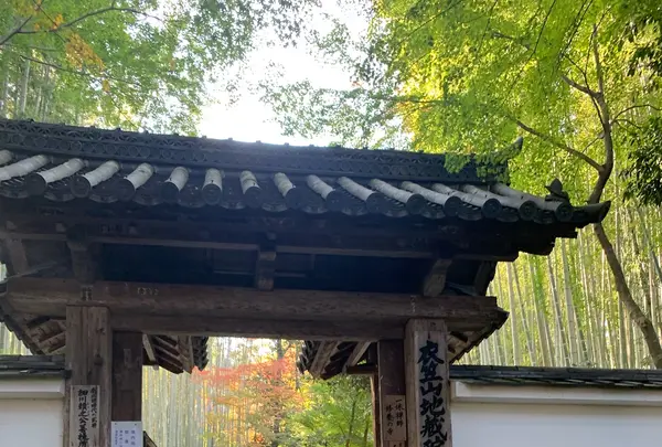 地蔵院（竹の寺）の写真・動画_image_477087