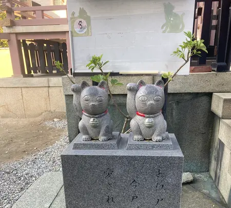 今戸神社の写真・動画_image_477279