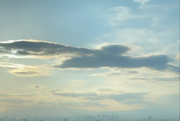 東京スカイツリーの写真・動画_image_477289