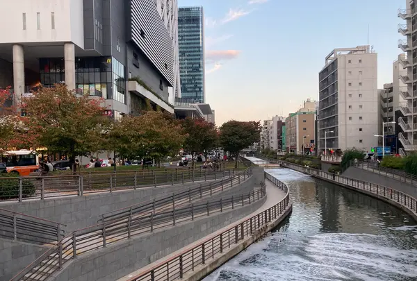 スカイツリーカフェ フロア340の写真・動画_image_477295