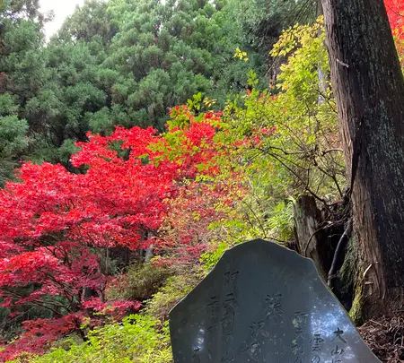 阿夫利神社 下社の写真・動画_image_477309