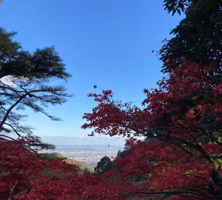 大山寺の写真・動画_image_477327