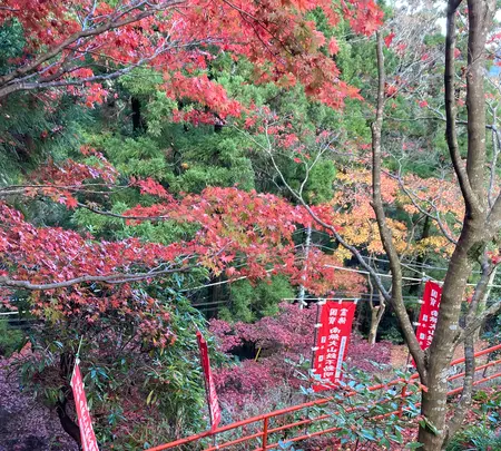 大山寺の写真・動画_image_477334