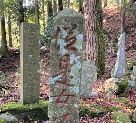 大山阿夫利神社の写真・動画_image_477358