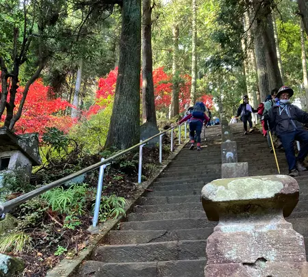 阿夫利神社 下社の写真・動画_image_477370