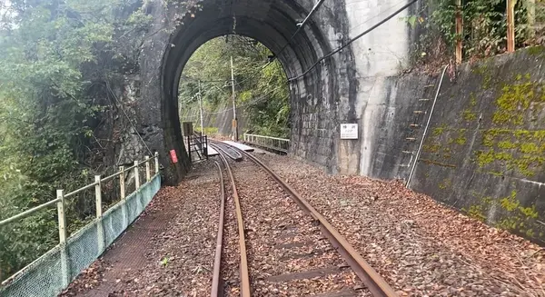 自転車型トロッコ（愛称：吾妻峡レールバイク アガッタン）の写真・動画_image_477415