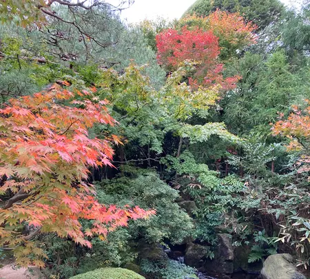 足立美術館の写真・動画_image_477636