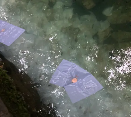 八重垣神社の写真・動画_image_477652