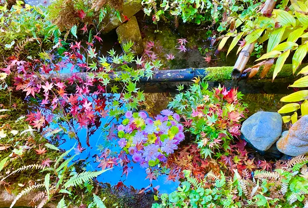 毘沙門堂の写真・動画_image_477804