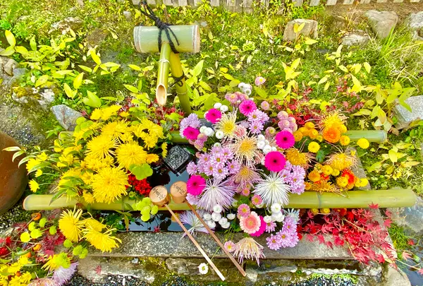 二尊院の写真・動画_image_477811