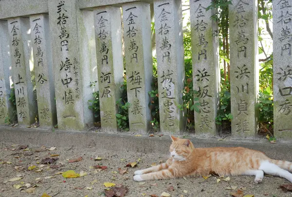 豊玉姫神社の写真・動画_image_477813