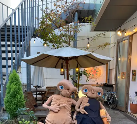 1966 DOMANIの写真・動画_image_478026