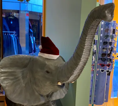 CIRCUSの写真・動画_image_478107