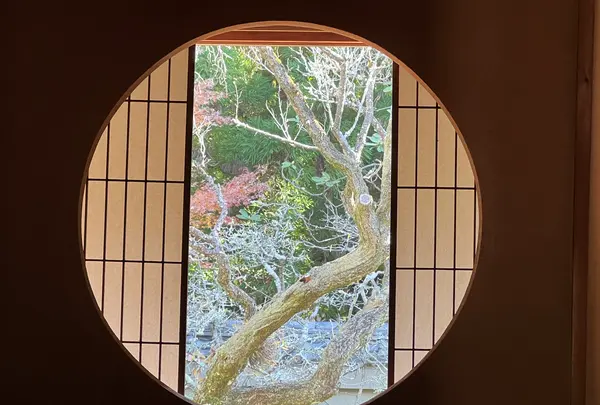 御寺泉涌寺 別院 雲龍院の写真・動画_image_478386