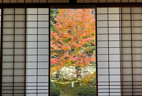 御寺泉涌寺 別院 雲龍院の写真・動画_image_478388