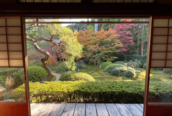 御寺泉涌寺 別院 雲龍院の写真・動画_image_478391