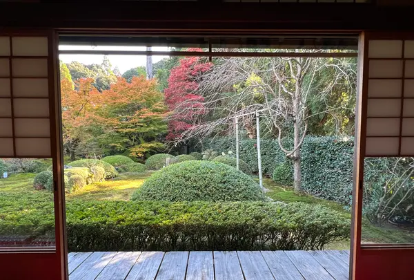 御寺泉涌寺 別院 雲龍院の写真・動画_image_478392