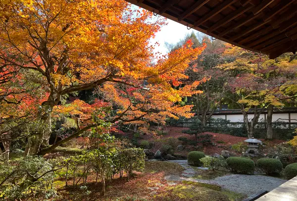 泉涌寺 御座所の写真・動画_image_478401
