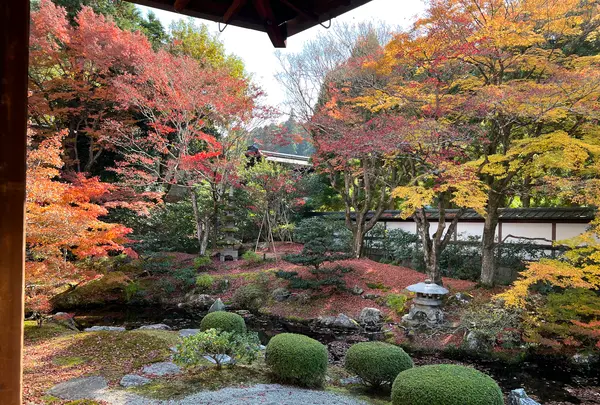 泉涌寺 御座所の写真・動画_image_478402