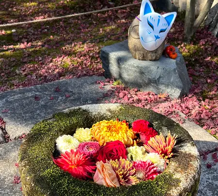 勝林寺の写真・動画_image_478411