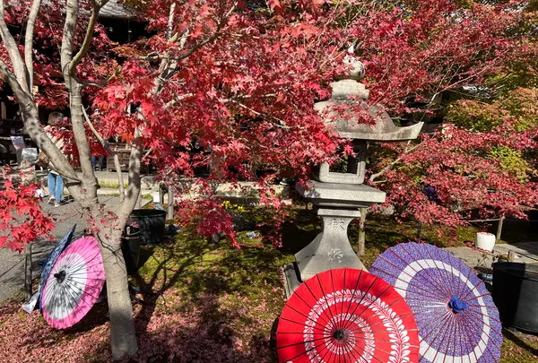 勝林寺の写真・動画_image_478413