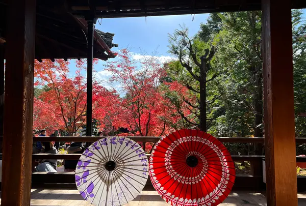 勝林寺の写真・動画_image_478414