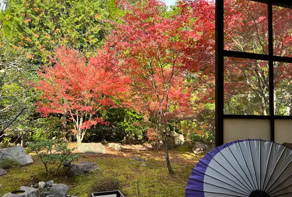 勝林寺の写真・動画_image_478419