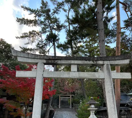 今宮神社の写真・動画_image_478431