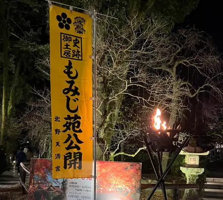 御土居のもみじ苑の写真・動画_image_478446