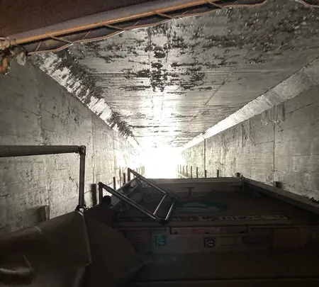 ぐるっと松江堀川めぐりの写真・動画_image_478460