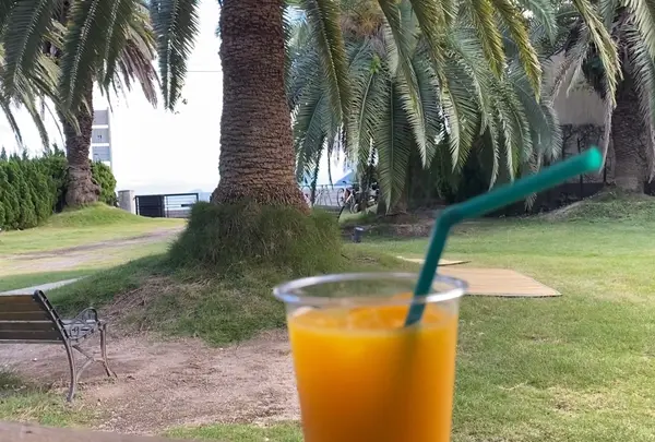 life:styleの写真・動画_image_478530