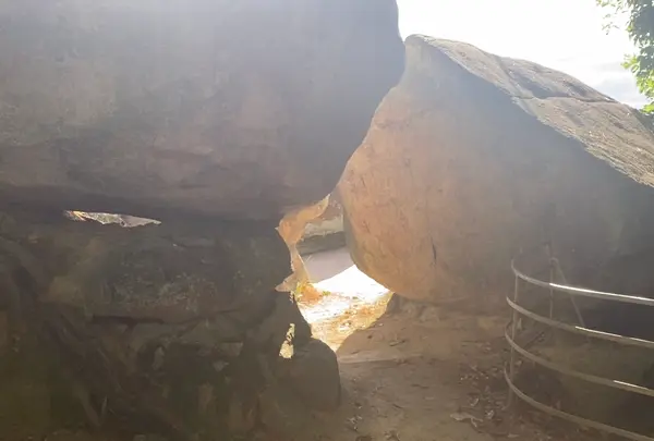 文学のこみちの写真・動画_image_478539