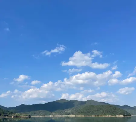田ノ浦港の写真・動画_image_478579