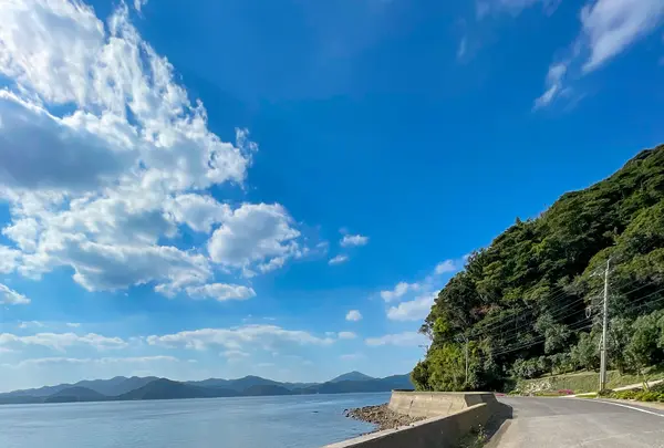 田ノ浦港の写真・動画_image_478583