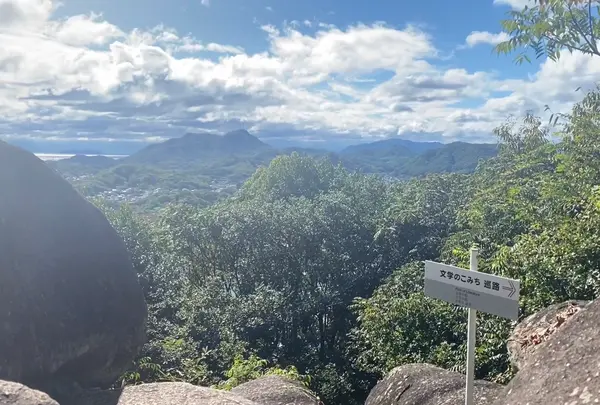 文学のこみちの写真・動画_image_478655