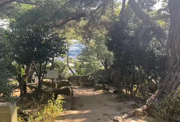 文学のこみちの写真・動画_image_478656